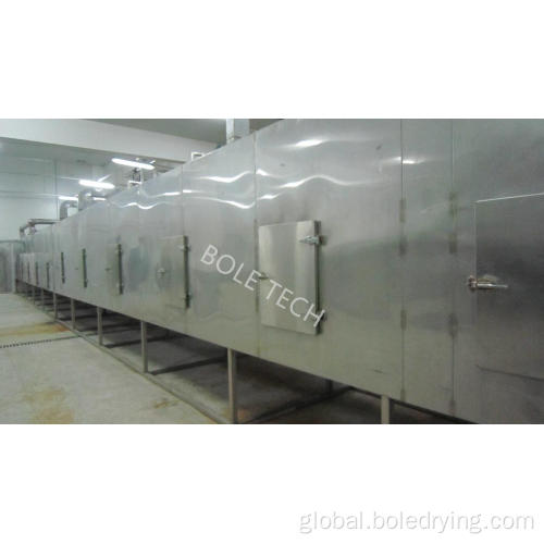 Fruit Drying Machine Fruit continuous drying machine mesh belt dryer Factory